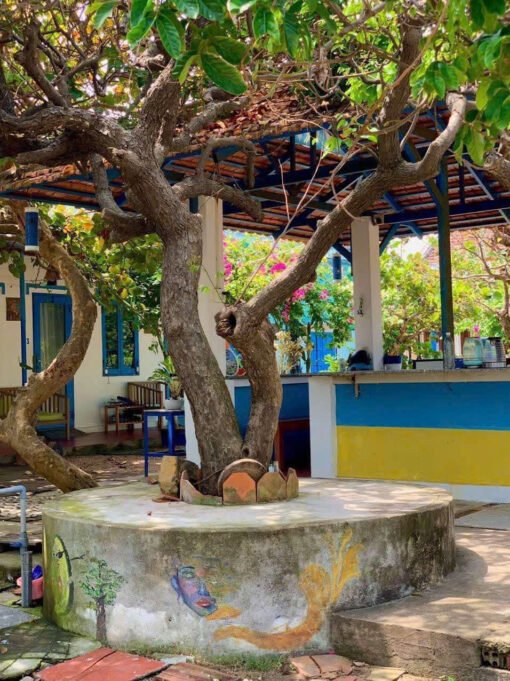 Nẫu Homestay Làm mẫu